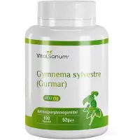 VitaSanum Gymnema sylvestre (Gurmar) – 800 mg Tagesportion 100 St Kapseln