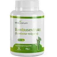 VitaSanum – Bambusextrakt (Bambusa vulgaris Schrad.) 350 mg 90 St Kapseln