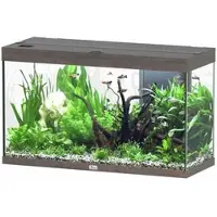 Aquatlantis Splendid 200 Aquarium-Set Wildeiche dunkel