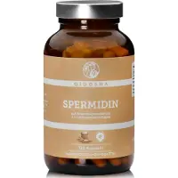QIDOSHA Spermidin aus Weizenkeim-Extrakt 120 g Kapseln