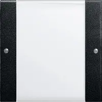 Gira Wippenset 1-fach System 55, Klar/Schwarz matt, 1 Stk.