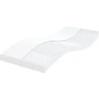 vidaXL Schaumstoffmatratzen 2 Stk. 100x200 cm 7-Zonen Härtegrad 20 ILD