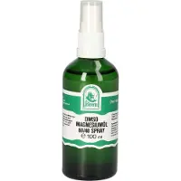 St. Severin Dmso Magnesiumöl 60/40 Spray 100 ml