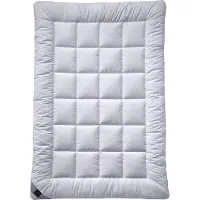 Billerbeck 321 CLASSIC-CLEAN