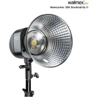 Walimex pro Newcomer 300 II Set Single