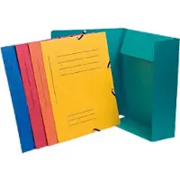 Exacompta 55360E 50x Sammelmappe mit Gummizug, 3 Klappen und Organisationsdruck aus Colorspan-Karton 355g/qm, für Format DIN A4 - Farben sortiert