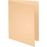 Exacompta 421002E 5x 100er Packung FOREVER 170 mit rotem Rand - Sand