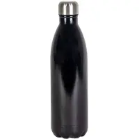 Intirilife Edelstahl 750ml Isolierkanne in SILBER