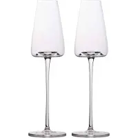 Intirilife Champagner Sekt Glas Set 220ml