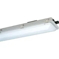 Schuch Licht Ex-LED-Wannenleuchte nD866F 12L85