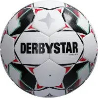 Derbystar Tempo APS v24 Trainingsball Weiss F192