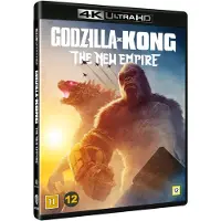 Warner bros Godzilla x Kong: The New Empire
