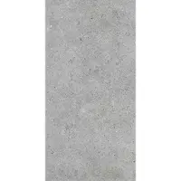 Zelfbouwmarkt Desert Bodenfliese light grey 30x60 cm matt DESER36LGR