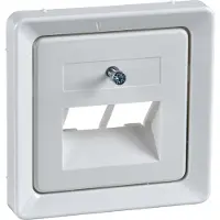 ELSO Schneider Electric Zentralplatte 206414 für 2xRJ45 reinweiß