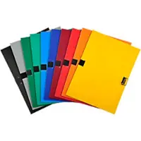 Exacompta 30100H 10x Verstärkter Deckel aus Polypropylen, elegant und stabil - Farben sortiert
