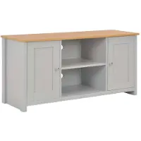 vidaXL TV-Schrank Grau 120x39x58 cm