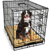 Goliving Hundebank faltbar XL - Bank - Für Hunde - Inkl. Hundekissen - 2 Türen - 107 x 71 x 76 cm