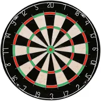 Xqmax Darts Klassische Dartscheibe Borste