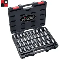 Vigor V2496, 36 Stück(e), Torx