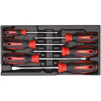 Gedore red R22150013 Schraubendrehersatz PH+SL 2/6 CT-Modul 6-teilig, 3301712