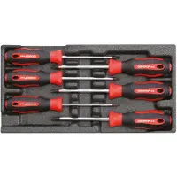 Gedore red R22150015 Schraubendrehersatz TX 2/6 CT-Modul 6-teilig, 3301714