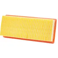 Champion LUFTFILTER DIVERSE TRIUMPH CAF9007