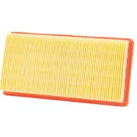 Champion LUFTFILTER MONSTER/DESERT CAF9005