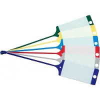 CROP 5 Pack je 100 PP-Schlüsselanhänger - neutrale Ausführung grün