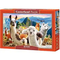 Castorland C-104758-2, 1000 Stück(e), Tiere, 9 Jahr(e)