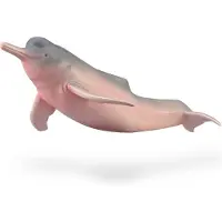 Collecta Amazonas-flussdelfin Durchsichtig Durchsichtig One Size