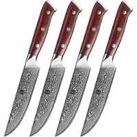 Xinzuo - Damast Steakmesser 4 Stück - B13R Yu series