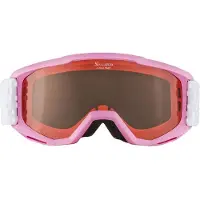 Alpina Skibrille