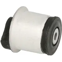 Delphi Lagerung, Achskörper TD1154W