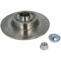 Delphi Bremsscheibe BG9032RS hinten, voll, 1 Stück