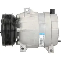 Delphi Kompressor, Klimaanlage TSP0155138
