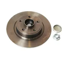 Delphi Bremsscheibe BG9026RS hinten, voll, 1 Stück