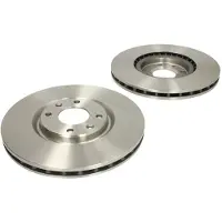 Delphi Bremsscheiben BG4166 vorne, belüftet, 2 Stück