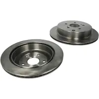 Delphi Bremsscheiben BG4329 hinten, belüftet, 2 Stück