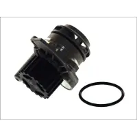 THERMOTEC Wasserpumpe D1W039TT