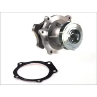 THERMOTEC Wasserpumpe D1Y033TT