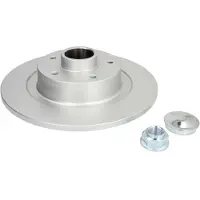 Delphi Bremsscheibe BG9488RSC hinten, voll, 1 Stück