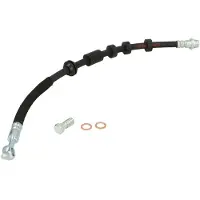 Delphi Bremsschlauch LH7700
