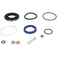 DT Spare Parts Reparatursatz, Kippzylinder 1.32311