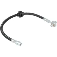 Delphi Bremsschlauch LH7019, Links