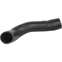 THERMOTEC Ladeluftschlauch DCG269TT