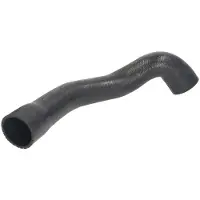 THERMOTEC Ladeluftschlauch DCV019TT Rechts