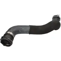 THERMOTEC Kühlerschlauch 21170