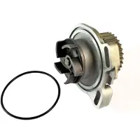 THERMOTEC Wasserpumpe D1A010TT