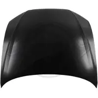 Diederichs Motorhaube 1029000