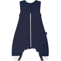 Alvi Ganzjahres-Sleepoverall 2.0 TOG LaLeLu, blau, 100